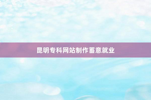 昆明专科网站制作蓄意就业
