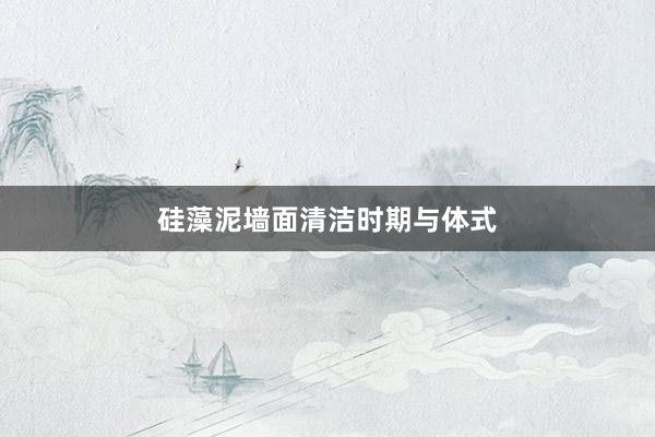 硅藻泥墙面清洁时期与体式
