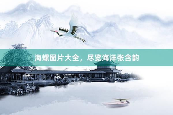 海螺图片大全，尽览海洋张含韵