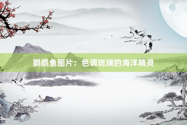 鹦鹉鱼图片：色调斑斓的海洋精灵